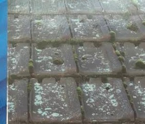 Avant : tuiles couvertes de mousse